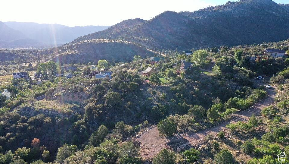 515 S OAK RIDGE CIR Pine Valley, UT 84781