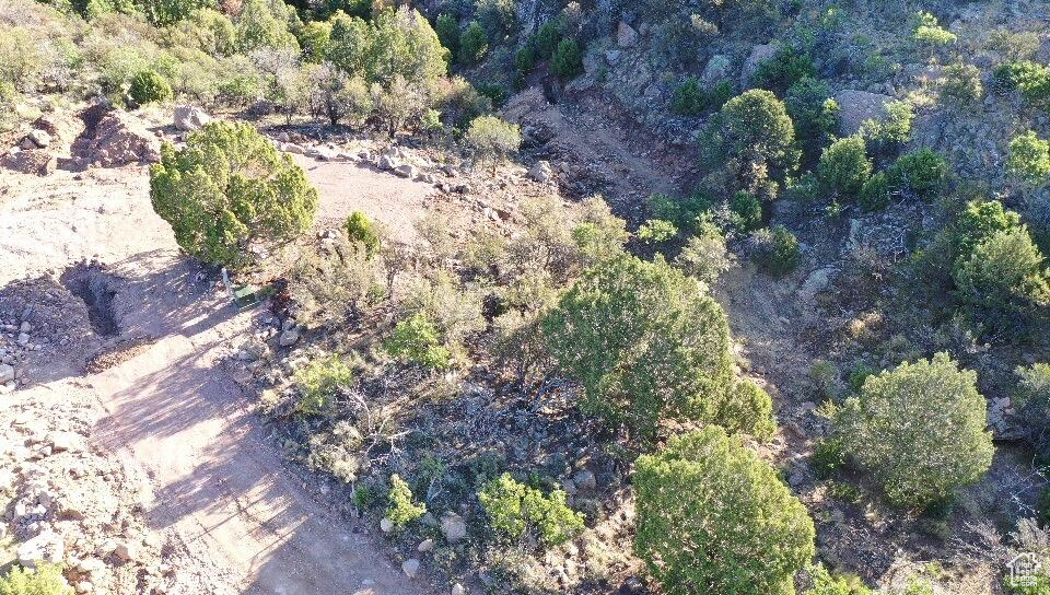 515 S OAK RIDGE CIR Pine Valley, UT 84781