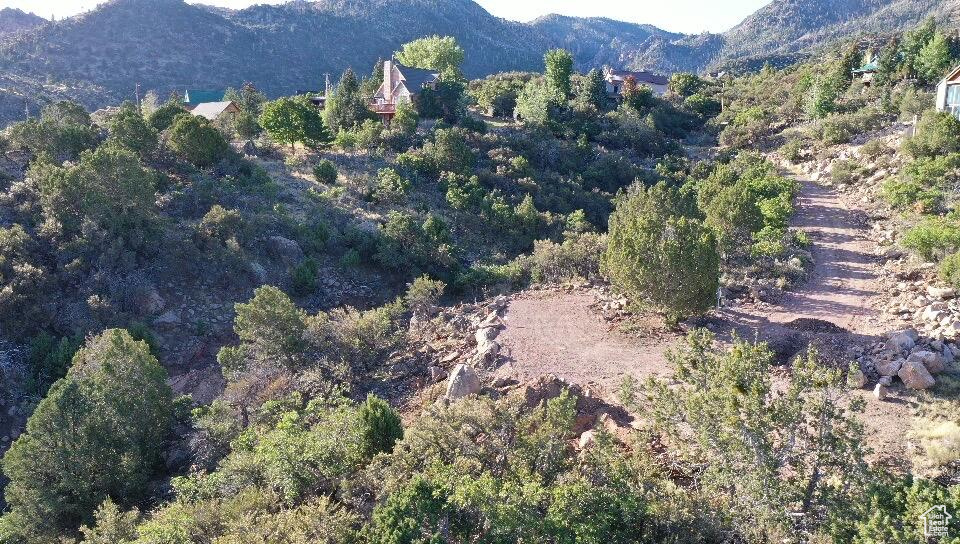 515 S OAK RIDGE CIR Pine Valley, UT 84781