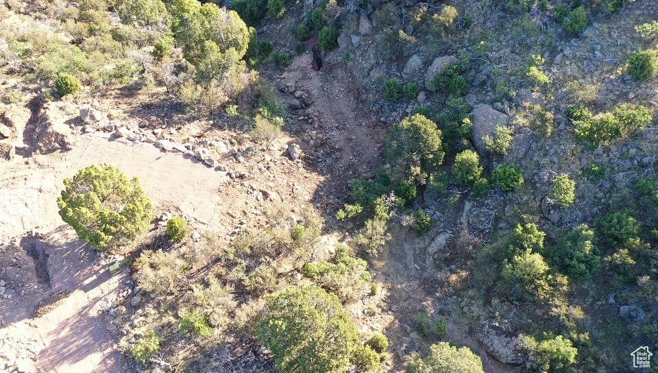 515 S OAK RIDGE CIR Pine Valley, UT 84781