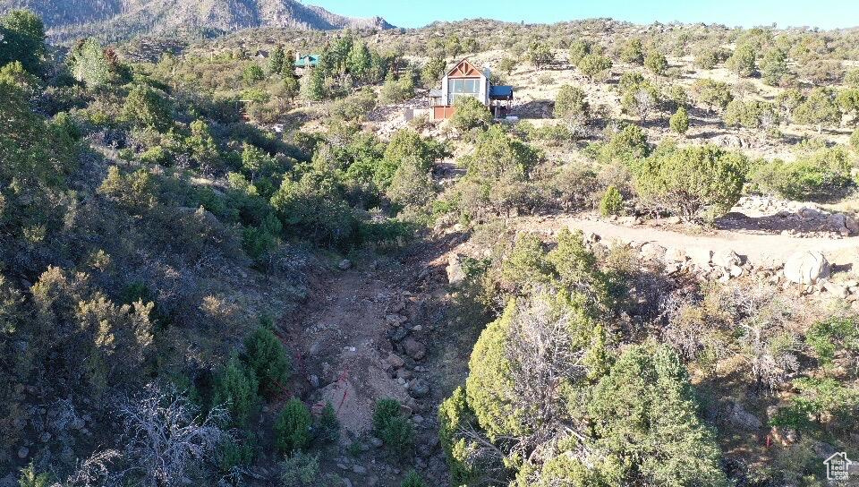 515 S OAK RIDGE CIR Pine Valley, UT 84781