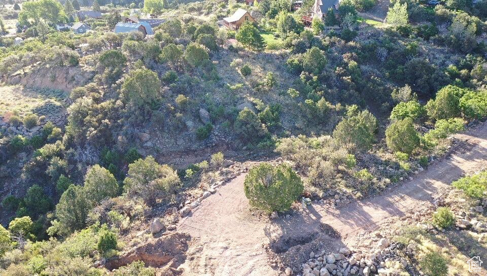 515 S OAK RIDGE CIR Pine Valley, UT 84781