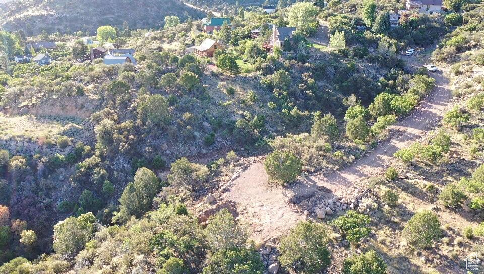 515 S OAK RIDGE CIR Pine Valley, UT 84781