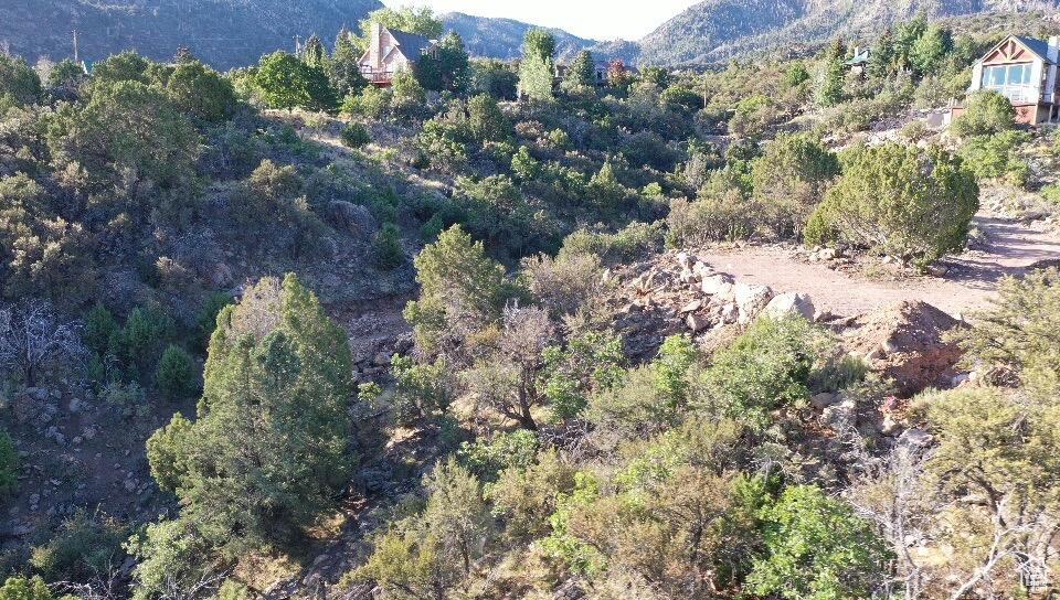 515 S OAK RIDGE CIR Pine Valley, UT 84781