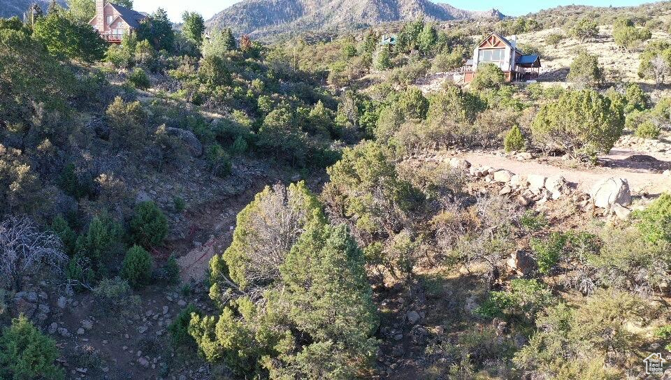 515 S OAK RIDGE CIR Pine Valley, UT 84781