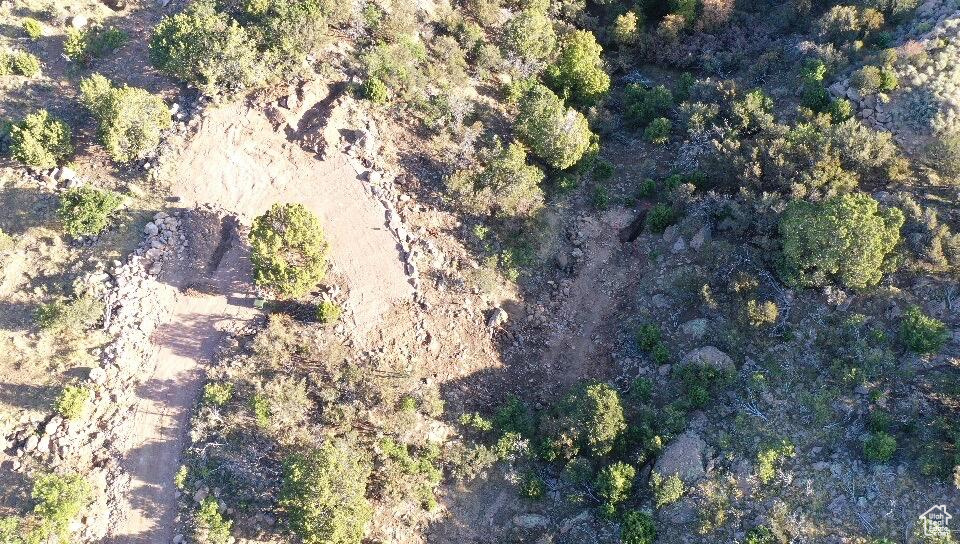 515 S OAK RIDGE CIR Pine Valley, UT 84781