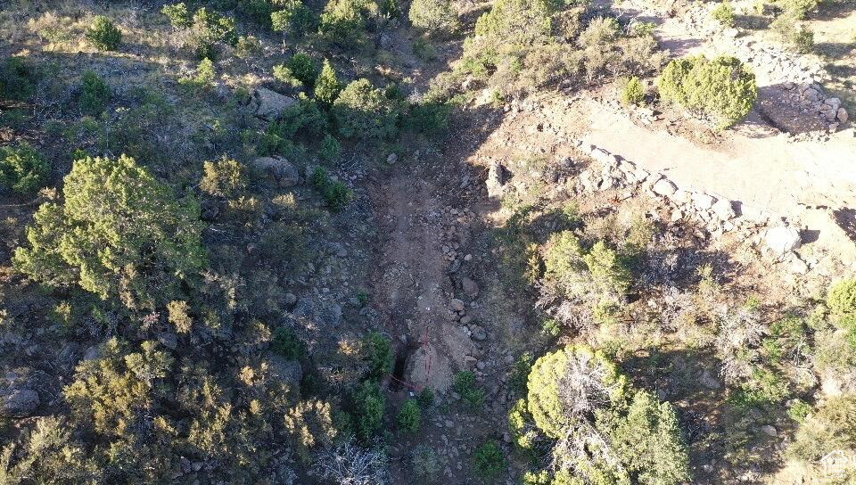 515 S OAK RIDGE CIR Pine Valley, UT 84781