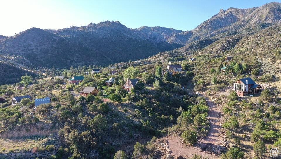 515 S OAK RIDGE CIR Pine Valley, UT 84781