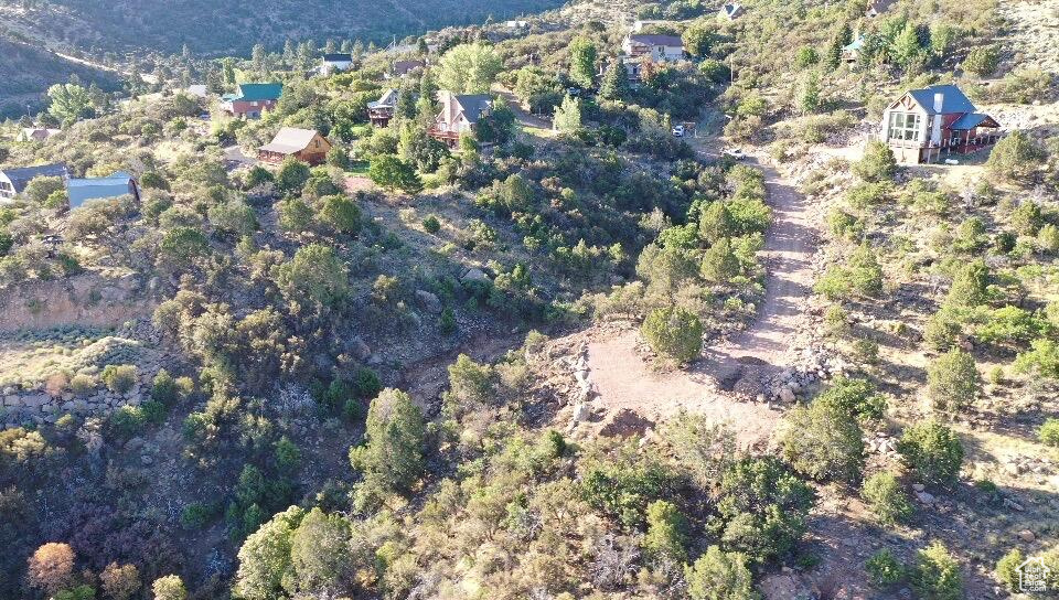 515 S OAK RIDGE CIR Pine Valley, UT 84781