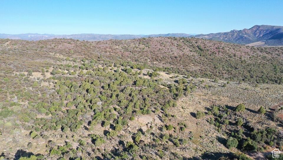 515 S OAK RIDGE CIR Pine Valley, UT 84781