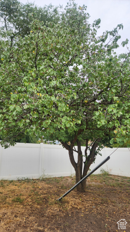 34 S 500 W Mt Pleasant, UT 84647