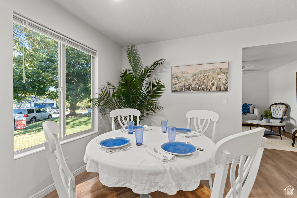 128 S 1170 E Logan, UT 84321