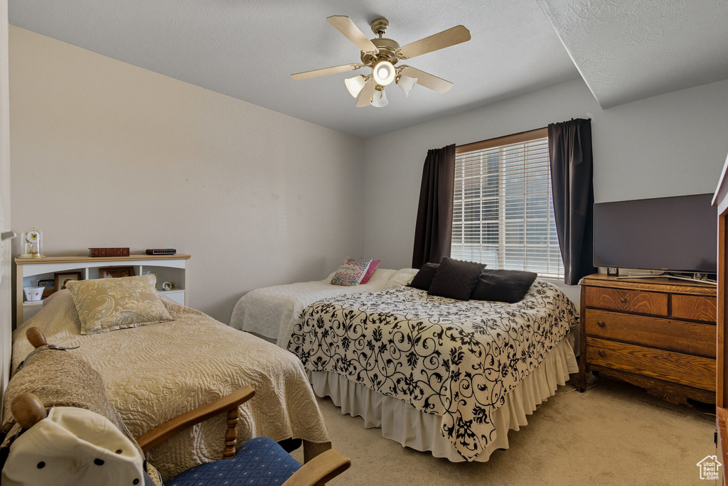 224 S 550 W #B2 Springville, UT 84663