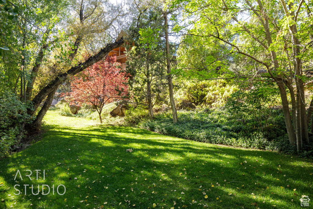 Photo 33 for MLS #2114461 at 391 S Cedar Tree Dr