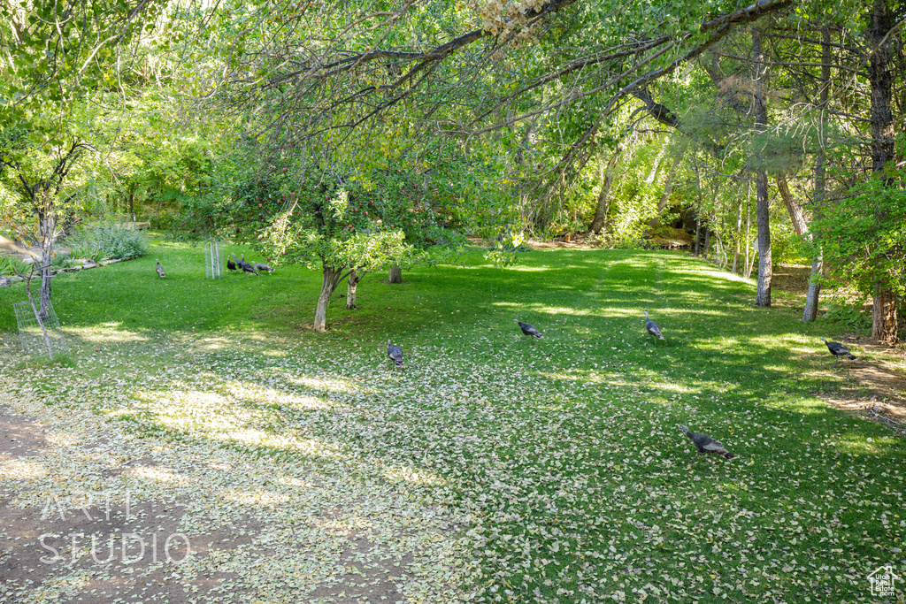 Photo 38 for MLS #2114461 at 391 S Cedar Tree Dr