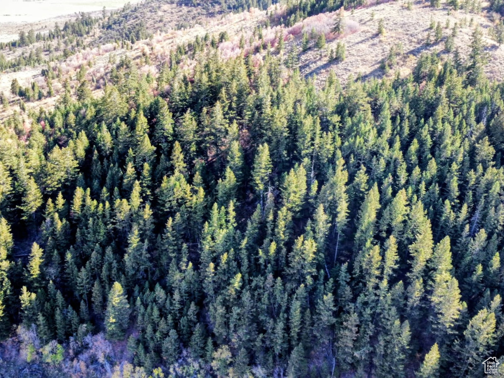 22  SKINNER CANYON RD Montpelier, ID 83254