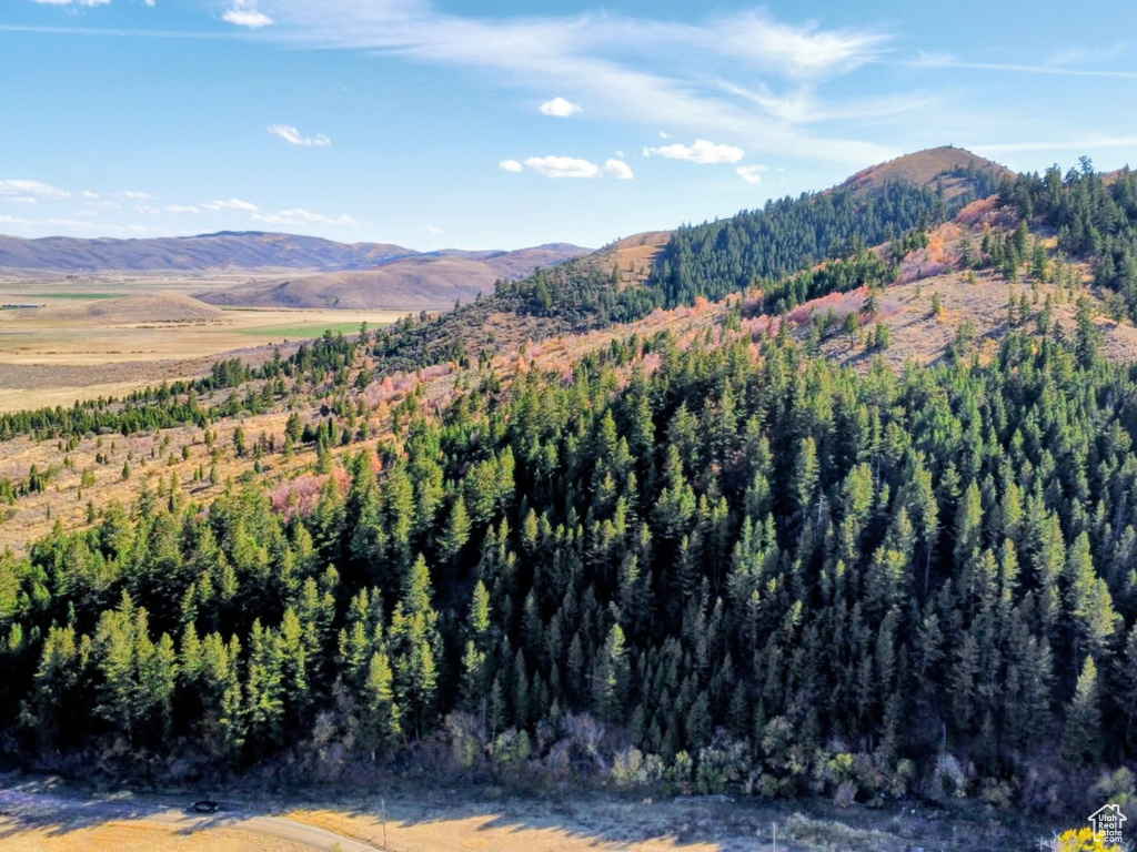 22  SKINNER CANYON RD Montpelier, ID 83254