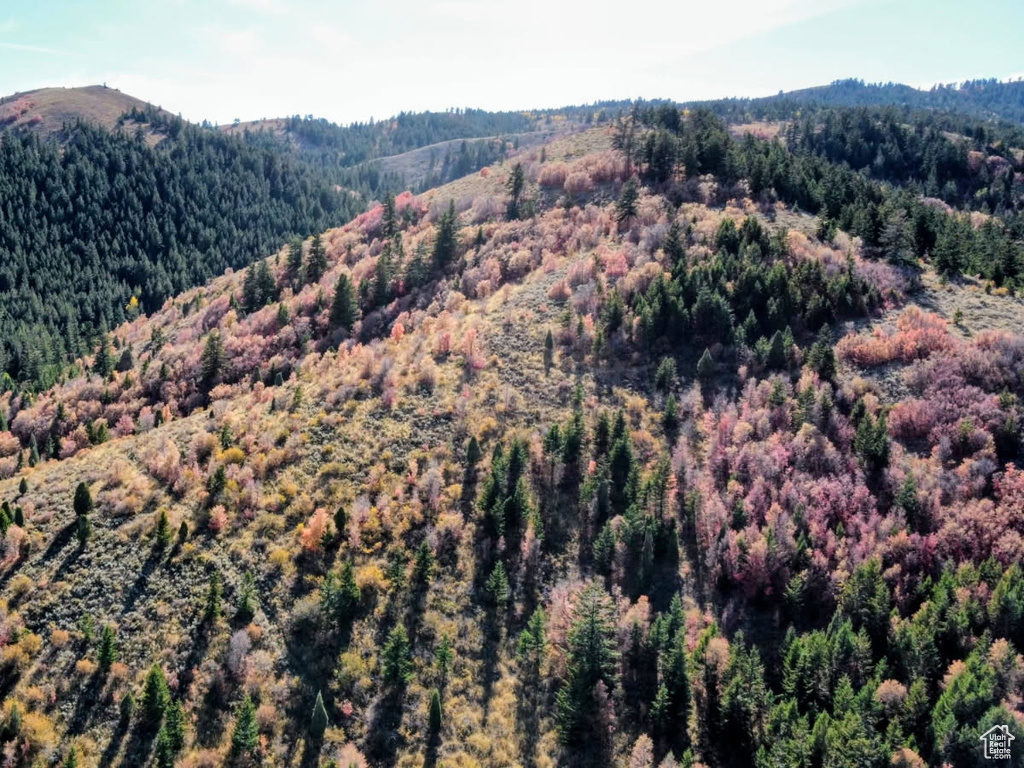 22  SKINNER CANYON RD Montpelier, ID 83254