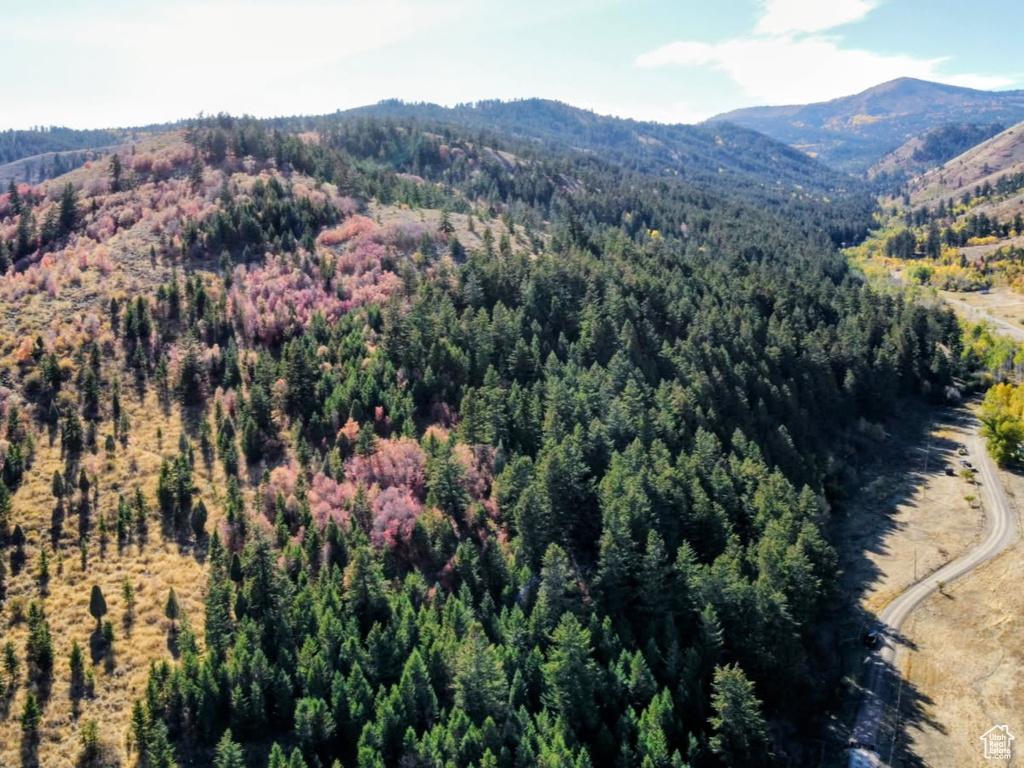 22  SKINNER CANYON RD Montpelier, ID 83254