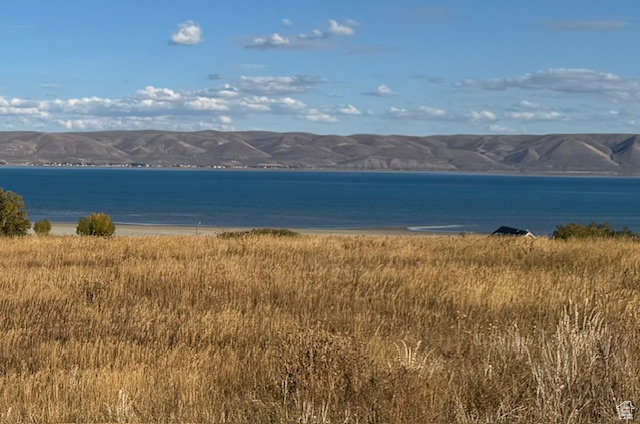 167  WANDERING DAISY DR Fish Haven, ID 83287