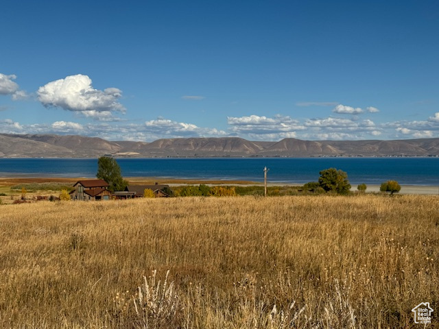 167  WANDERING DAISY DR Fish Haven, ID 83287