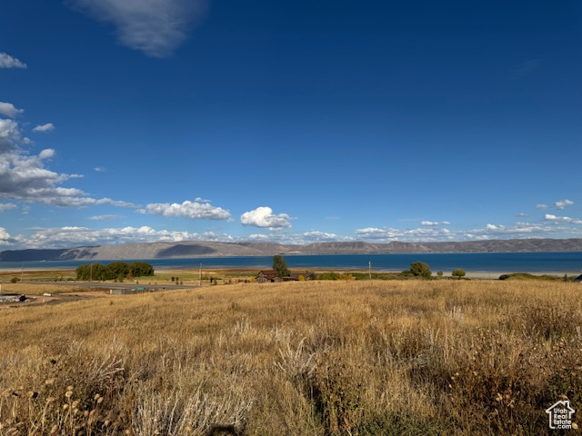 167  WANDERING DAISY DR Fish Haven, ID 83287