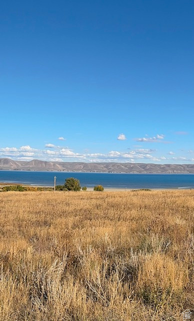 167  WANDERING DAISY DR Fish Haven, ID 83287