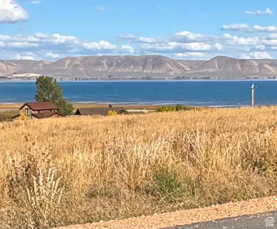 167  WANDERING DAISY DR Fish Haven, ID 83287