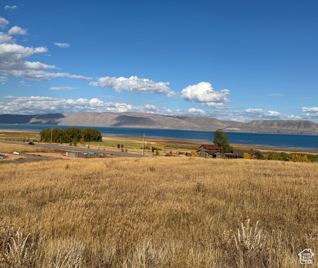 167  WANDERING DAISY DR Fish Haven, ID 83287