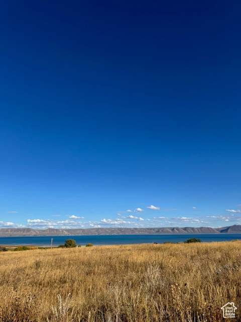 167  WANDERING DAISY DR Fish Haven, ID 83287