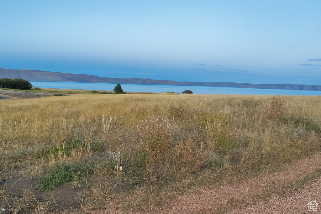 167  WANDERING DAISY DR Fish Haven, ID 83287