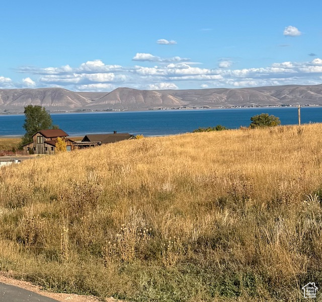 167  WANDERING DAISY DR Fish Haven, ID 83287