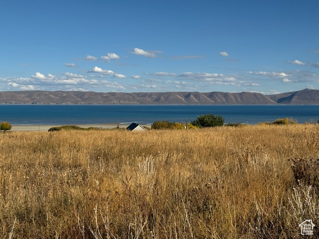 167  WANDERING DAISY DR Fish Haven, ID 83287