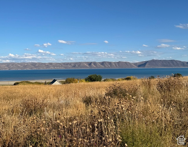 167  WANDERING DAISY DR Fish Haven, ID 83287