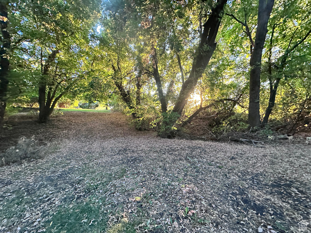 11169 N 2000 E Richmond, UT 84333