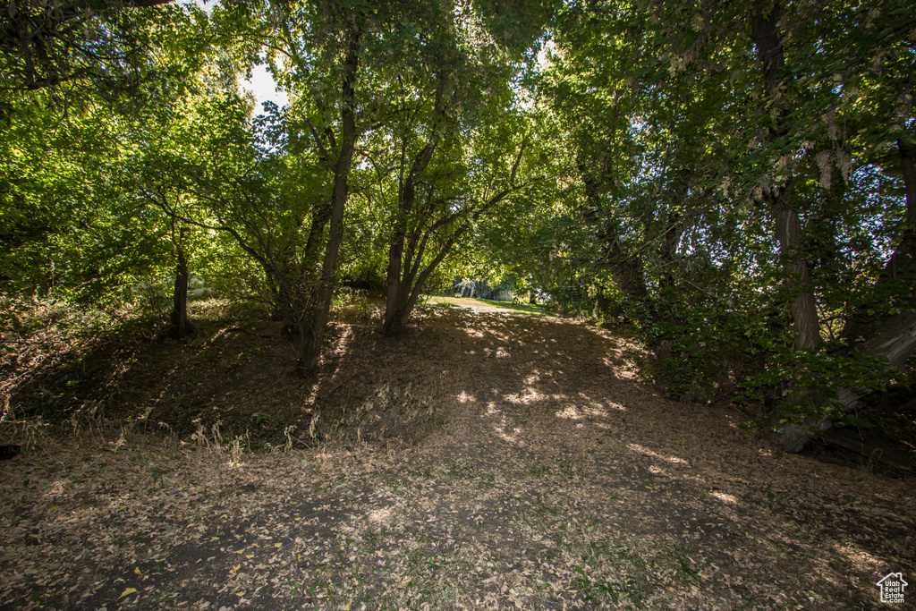 11169 N 2000 E Richmond, UT 84333