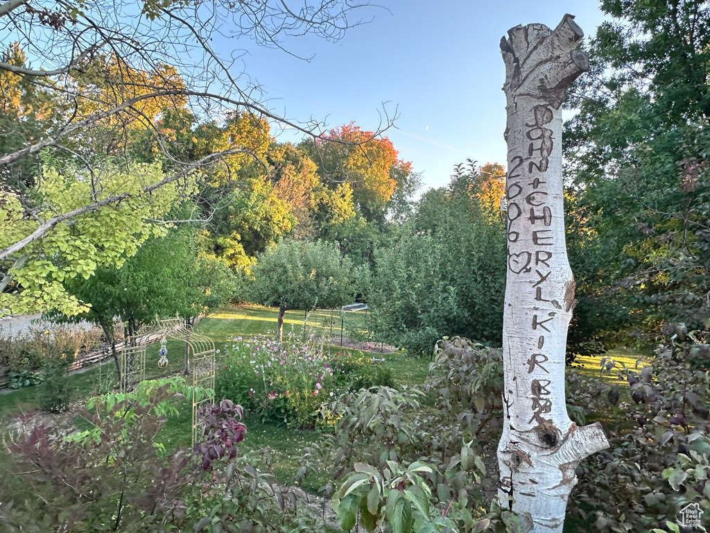 11169 N 2000 E Richmond, UT 84333