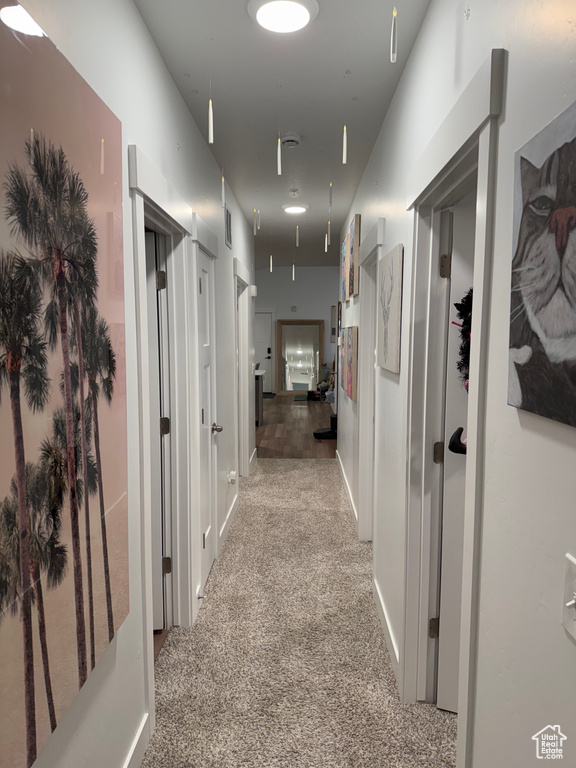 13526 S POOLE DR #301 Riverton, UT 84096