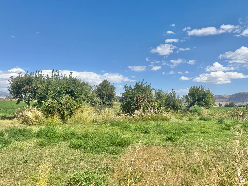 13200 N 6000 W Garland, UT 84312