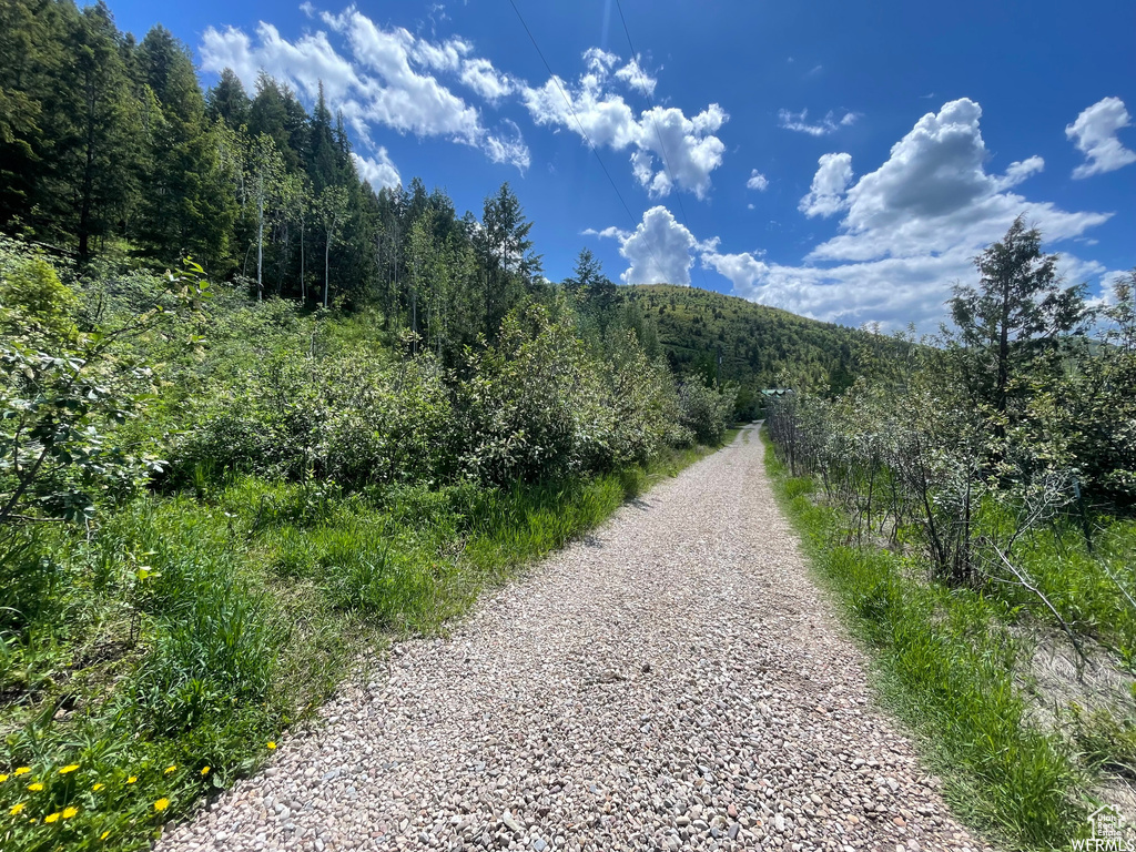 3716 E CHOKECHERRY LN Kamas, UT 84036