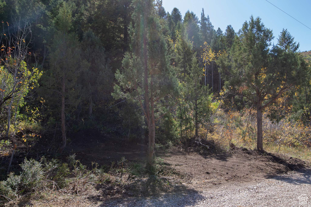 3716 E CHOKECHERRY LN Kamas, UT 84036