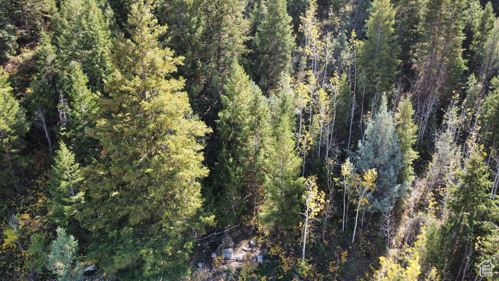 3716 E CHOKECHERRY LN Kamas, UT 84036