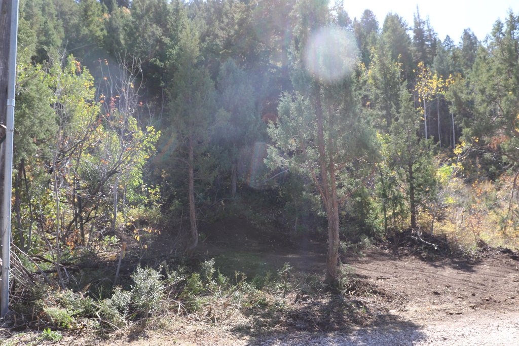 3716 E CHOKECHERRY LN Kamas, UT 84036