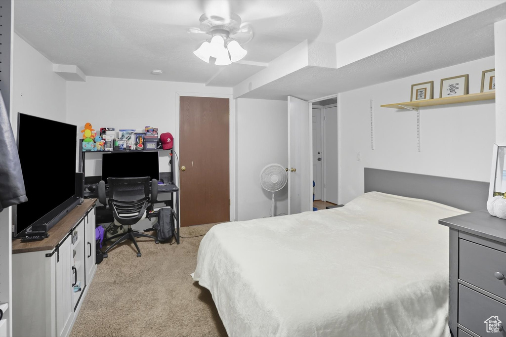 Photo 24 for MLS #2114587 at 690 Barlow St