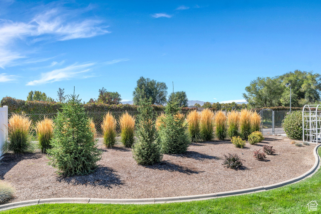 310 E 680 N Lindon, UT 84042
