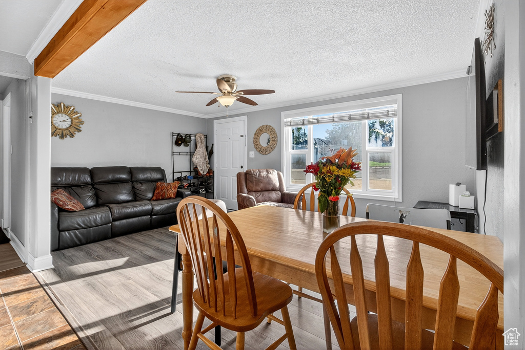 Photo 7 for MLS #2114602 at 592 Maple St