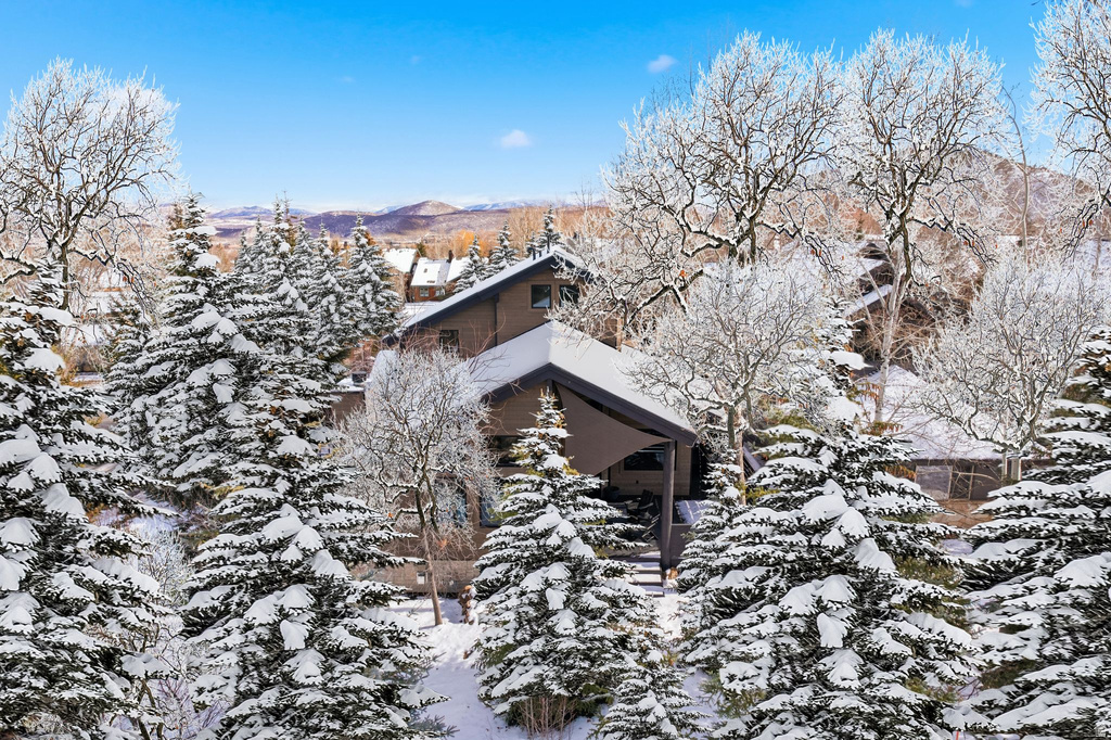 3996 VOELKER CT Park City, UT 84098