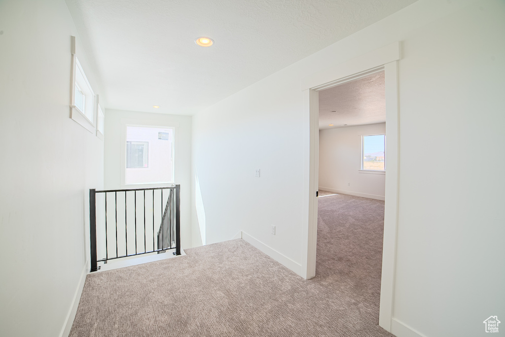 162 W HACKBERRY RD Vineyard, UT 84059