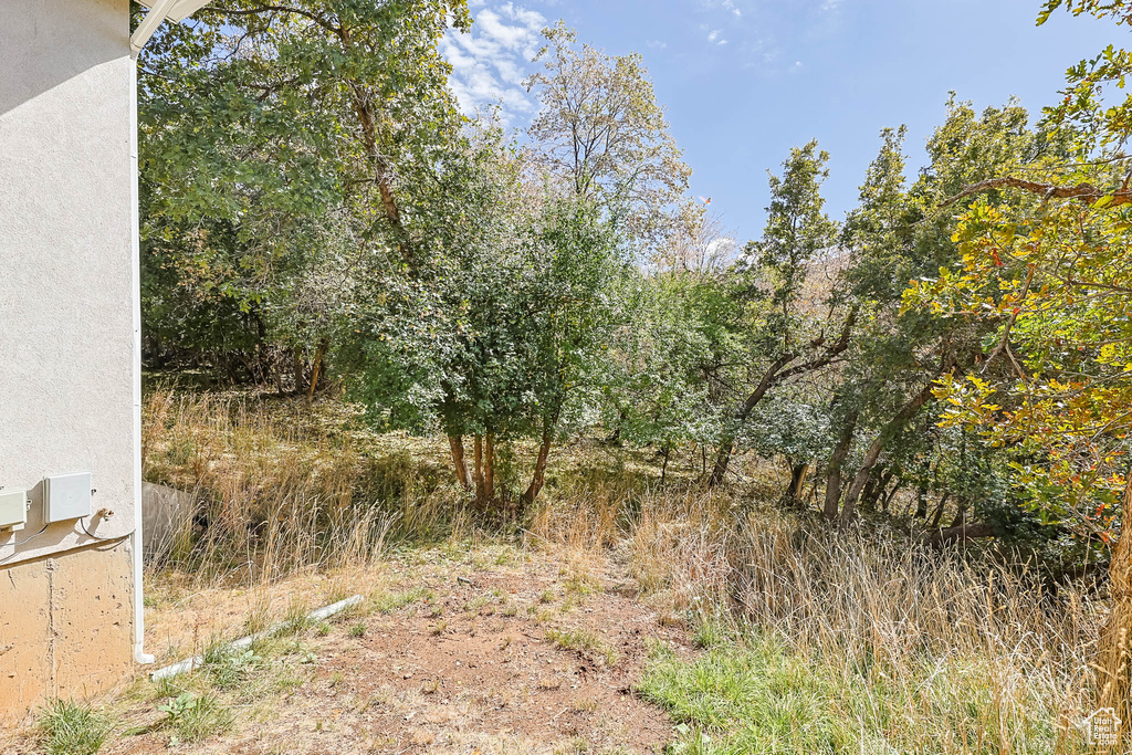 Photo 41 for MLS #2114622 at 2015 Ridgehollow Dr