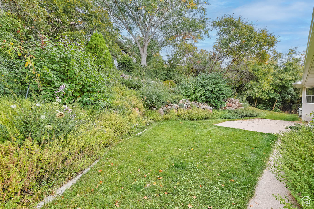 Photo 44 for MLS #2114622 at 2015 Ridgehollow Dr